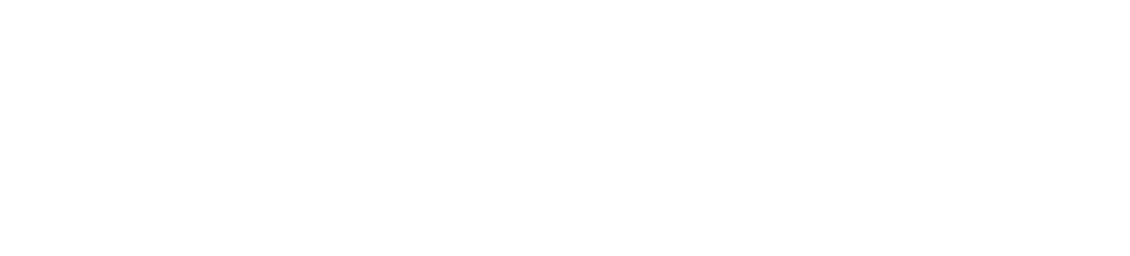 NINOSKA 